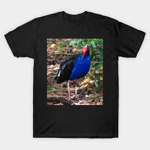 The Purple Swamp Hen! T-Shirt by Mickangelhere1